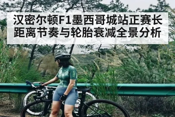 汉密尔顿F1墨西哥城站正赛长距离节奏与轮胎衰减全景分析